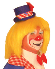 Clown Wig Silly Boy